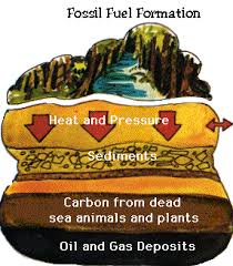 What are the three main fossil fuels ?